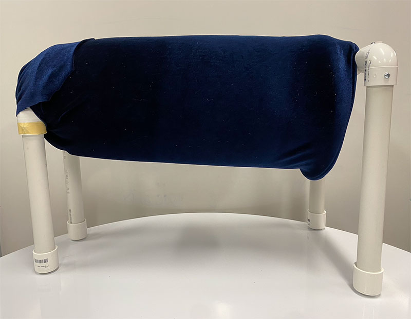 The Synthetic Canine Abdominal Palpation Model