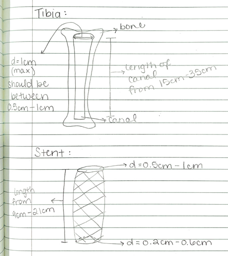 notebook paper design of the Tibial Stent 2.0