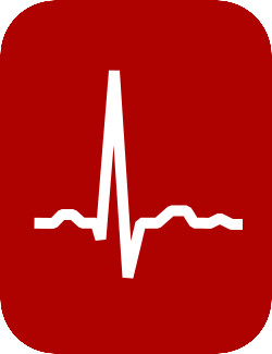 Biomedical Signal and Biosystems Analysis - EKG