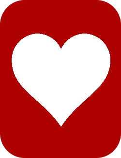 Tissue Engineering - Heart