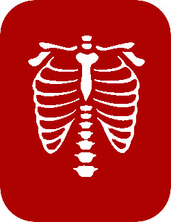 Medical Imaging - Ribcage Image
