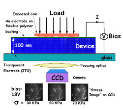 Electronic Skin