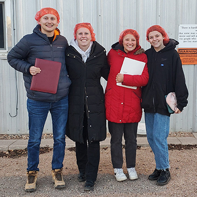 Mitigation Grain Team