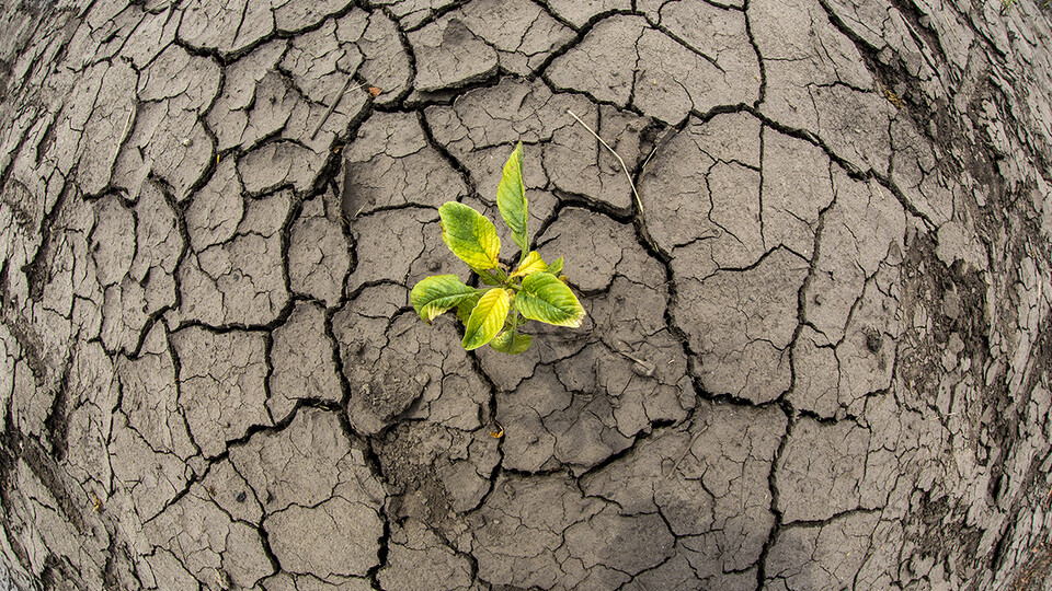 Tirthankar Roy, assistant professor of civil and environmental engineering, is part of National Drought Mitigation Center team researching the relationship between civil unrest and weather/climate. (Craig Chandler / University Communication)