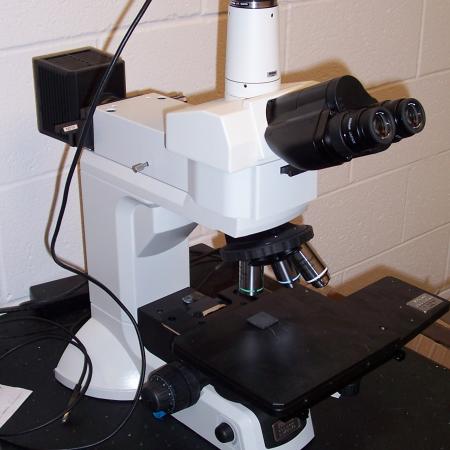 Nikon Microscope