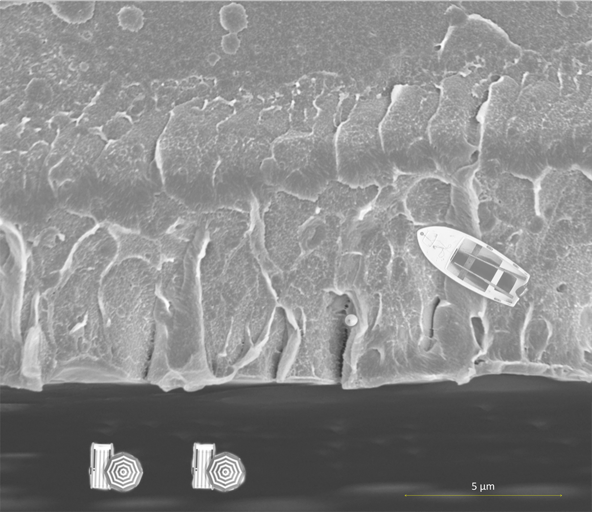 "Happiness comes in waves"-Seefat's research images wins the Nanoart competition of NCMN under the "Most Whimsical" category won Nanoart compet