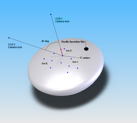 Image: Altered multiaxial mechanical properties of the porcine anterior lens capsule cultured in high glucose
