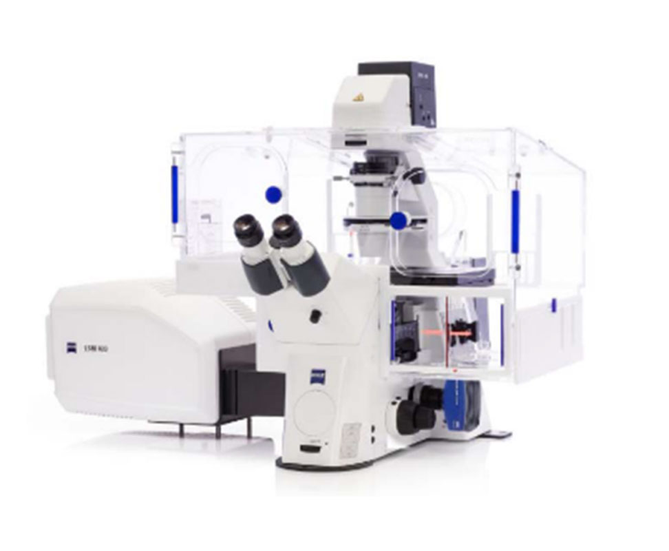 Photo of ZEISS LSM 800 with Airyscan