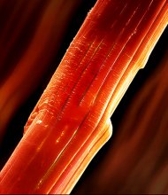An image of a UHMWPE fiber from a paper by Yuris Dzenis' group was chosen for the cover of the May 29 edition of ACS Applied Materials & Interfaces. An image of a UHMWPE fiber from a paper by Yuris Dzenis' group was chosen for the cover of the May 29 edition of ACS Applied Materials & Interfaces.