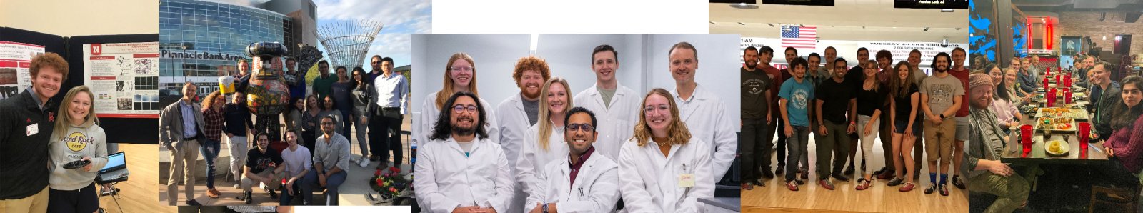 Collage of images of students from the Pedrigi Research Lab.