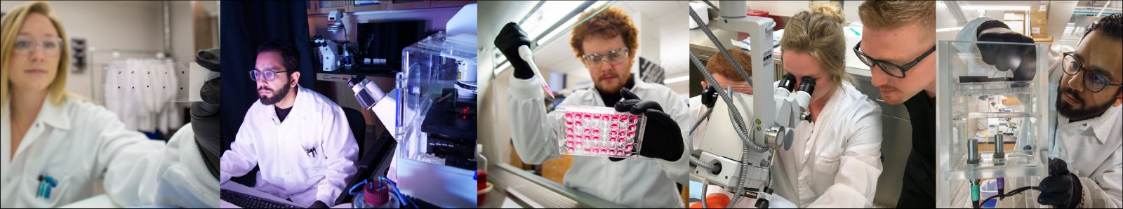 Collage of images of students working from the Pedrigi Research Lab